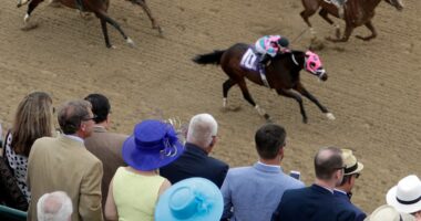 2023 Kentucky Derby Fun Facts NJ Horse Betting