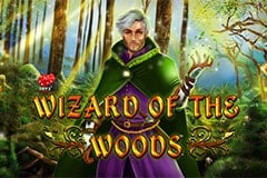 Wizard of the Woods