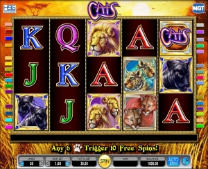 cats-slot-2