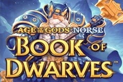 Age of the Gods™: Norse: Book of Dwarves™ Slot Game