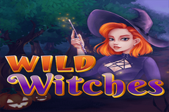 Wild Witches Slots