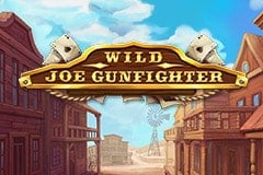 Wild Joe Gunfighter