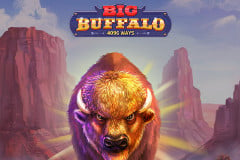 Big Buffalo