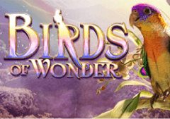 Birds of Wonder Slot