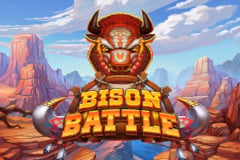 Bison Battle