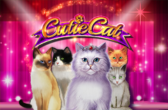 Cutie Cat Slot