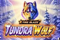Fire Blaze: Tundra Wolf Slot