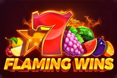 Flaming Wins Slot Machine