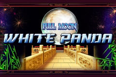 Full Moon White Panda Slot Review