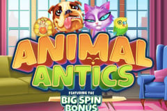 Animal Antics Slot Review