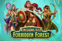 Kingdoms Rise: Forbidden Forest Slot Machine