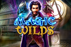 Magic Wilds Slot