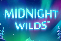Midnight Wilds Slot Machine