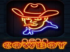 Neon Cowboy