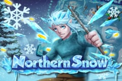 Northern Snow