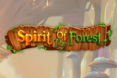 Spirit of the Forest