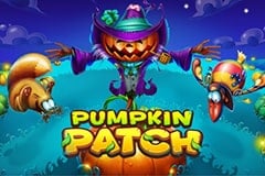 Pumpkin Patch