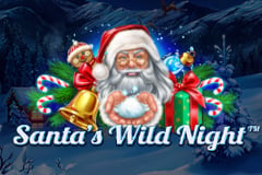 Santa's Wild Night