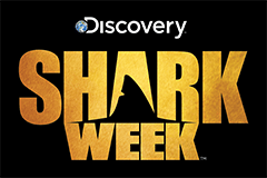 Shark Week Slot