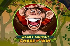 Wacky Monkey Chase ‘N’ Win Slot Review