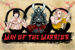 Way of the Warrior