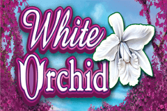 White Orchid slot
