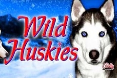 Where Can I Play Wild Huskies Machines?
