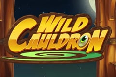 Wild Cauldron Slot Machine