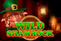 Wild Shamrock