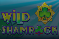 Wild Shamrock